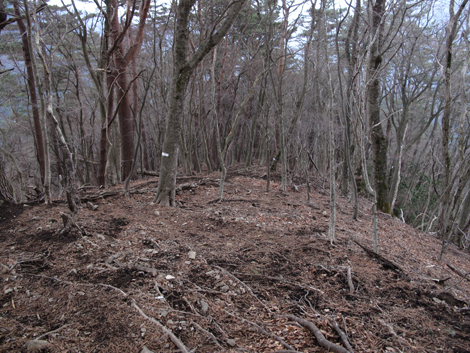 20160204hike (310)